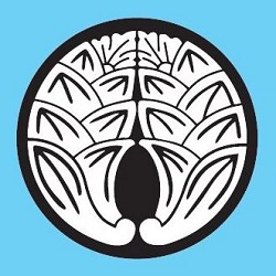 Spring District Family Dentistry Bellevue